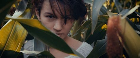 celeb roulete|CORN (porn film) .